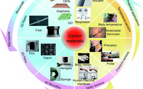 清华蹇木强Science China Materials综述：碳材料基柔性可穿戴传感器