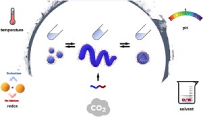 四川大学冯玉军课题组Prog. Poly. Sci. ：刺激响应聚合物蠕虫状胶束