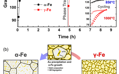 MIT新发现: 热稳定相变纳米晶合金中的高温诱发细晶现象