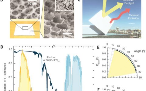 今日Science：用于高效被动日间辐射冷却的分层多孔聚合物涂层