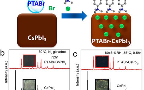 上海交通大学赵一新JACS :“相稳+湿稳”—效率高达17%的CsPbI3全无机钙钛矿电池