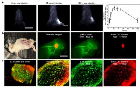 【国庆汇总】全球有机半导体成像研究团队介绍及最近研究进展梳理