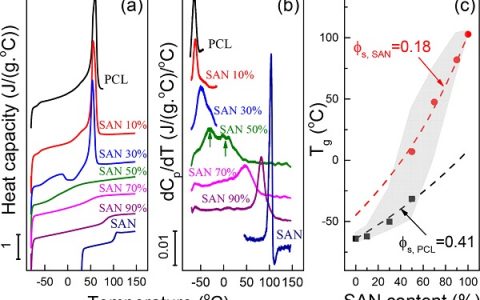上海交通大学俞炜Macromolecules: 在动态不对称聚己内酯/苯乙烯丙烯腈嵌段共聚物中的链段和末端的弛豫减速