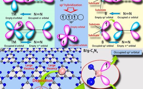 王金兰&杜爱军J. Am. Chem. Soc.: 用于可见光催化固氮的非金属单原子催化剂