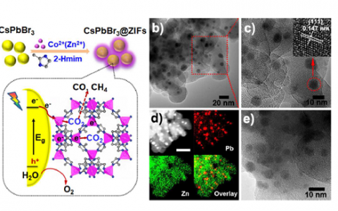 中大陈洪燕副教授ACS Energy Letters：CsPbBr3@ZIFs纳米复合材料用于高效光催化CO2还原