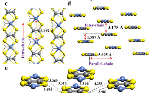 JACS:理论证实镍配位乙烯基四硫醇聚合物及其类似物为具有本征金属行为的优良热电材料