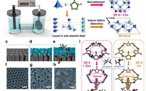 华南理工Science子刊:电驱动制备刚性MOF膜实现丙烯丙烷高效分离