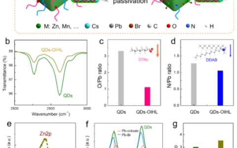 南理工宋继中&曾海波AM: 16.48%—室温钙钛矿绿光QLED效率再创新高