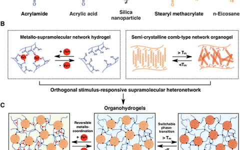北航刘明杰Adv. Mater.:通过正交超分子异质网络制备双重可编程形状变形和自愈合油水凝胶