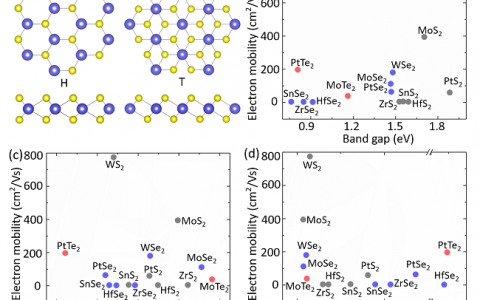 UT Austin刘远越 JACS：为什么二维金属硫属化物的载流子迁移率低？