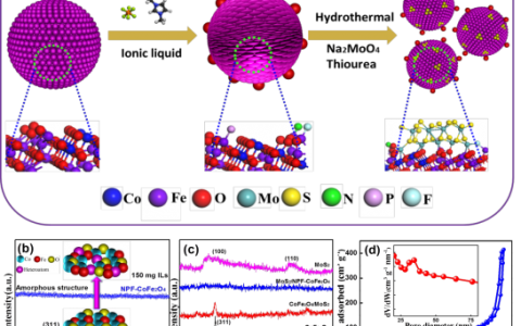 内蒙古大学王勤Adv. Energy Materials封面.:离子液体调控CoFe2O4尖晶石氧空位加速OER动力学