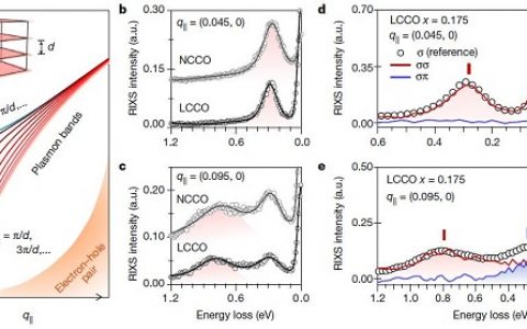 今日Nature：电子掺杂氧化铜超导体中的三维空间电荷激发