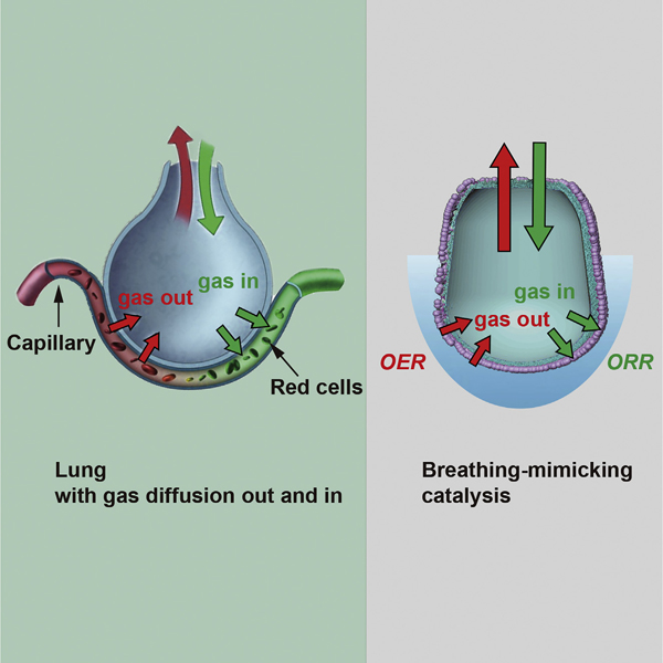 斯坦福大学崔屹团队Joule：一种会“呼吸”的OER和ORR催化剂