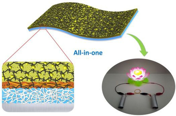 南开大学ACS Nano: 一体化柔性锂硫电池
