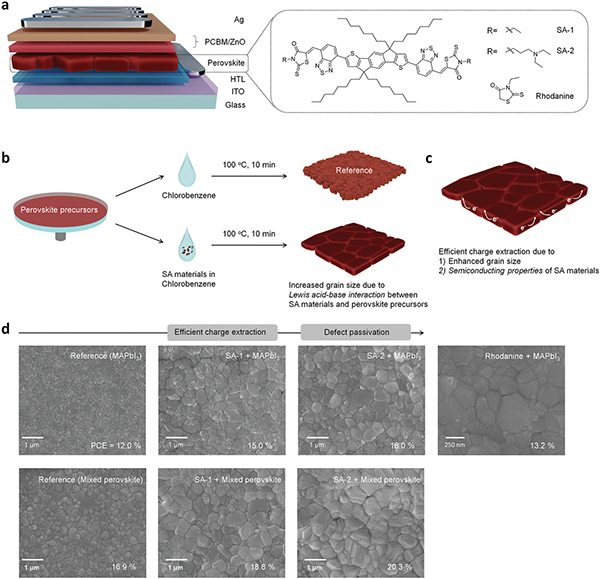Adv. Mater :半导体化学添加剂修饰制备高效率且稳定的反式平面钙钛矿电池