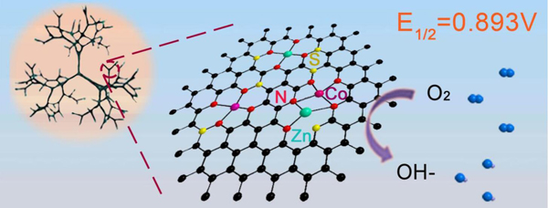 上海大学张久俊&燕山大学赵玉峰团队Nano Energy：负载在树突状碳中的双金属Zn,Co-Nx-C-Sy催化剂，用于高效的氧还原反应和柔性锌-空气电池
