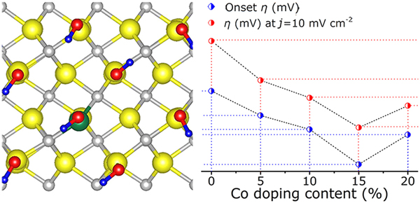兰州大学席聘贤团队&布朗大学孙守恒Nano Energy：用Co替代可控调节Fe-N纳米片增强析氧反应