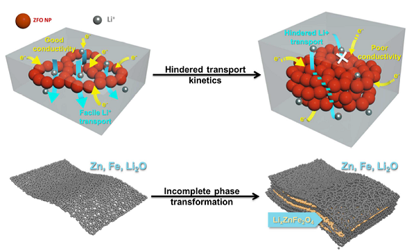 Energy Storage Mater.：理解介观中尺度下过渡金属氧化物中团聚效应阻碍锂离子传输