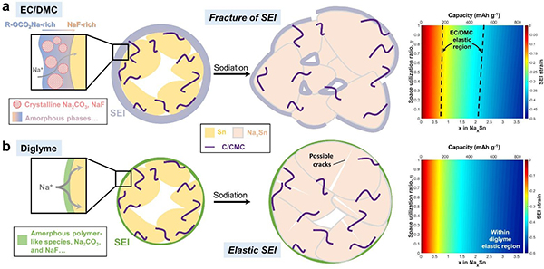香港理工EES:固体电解质界面的纳米结构及其对钠离子电池微粒Sn负极的影响