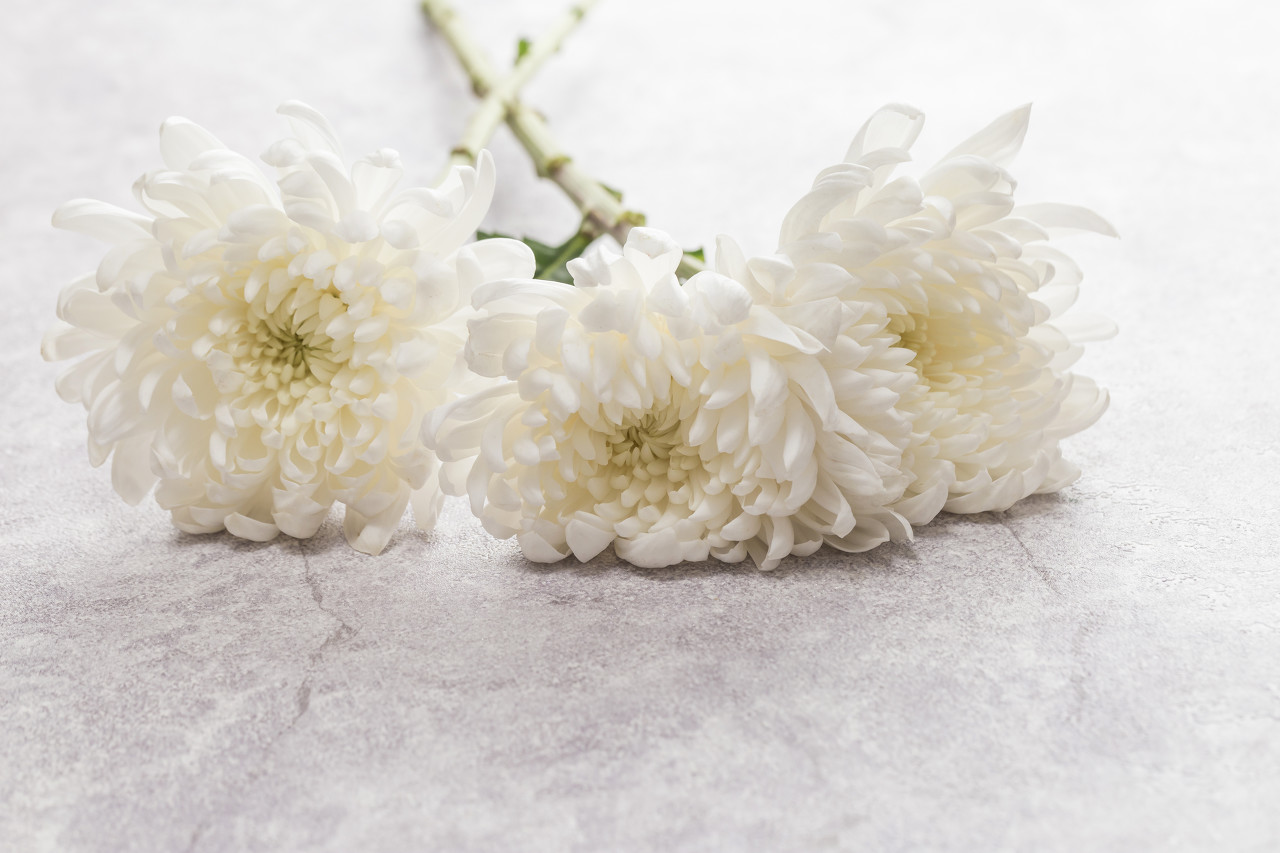 缅怀磁性材料专家 詹文山