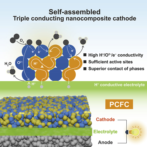 南京工业大学邵宗平团队Joule：自组装三导电纳米复合材料作为质子陶瓷燃料电池阴极