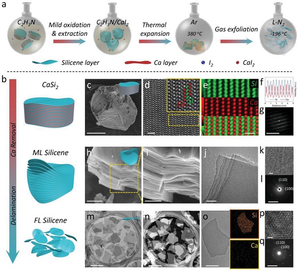 Adv. Mater.报道：硅烯的湿化学剥离合成和生物可降解纳米医学