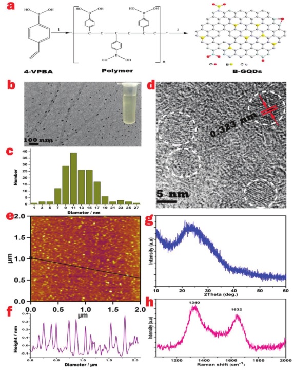 华南师范大学Adv. Funct. Mater. :硼掺杂石墨烯量子点的二次谐波效应应用于干细胞成像和伤口愈合超精确跟踪