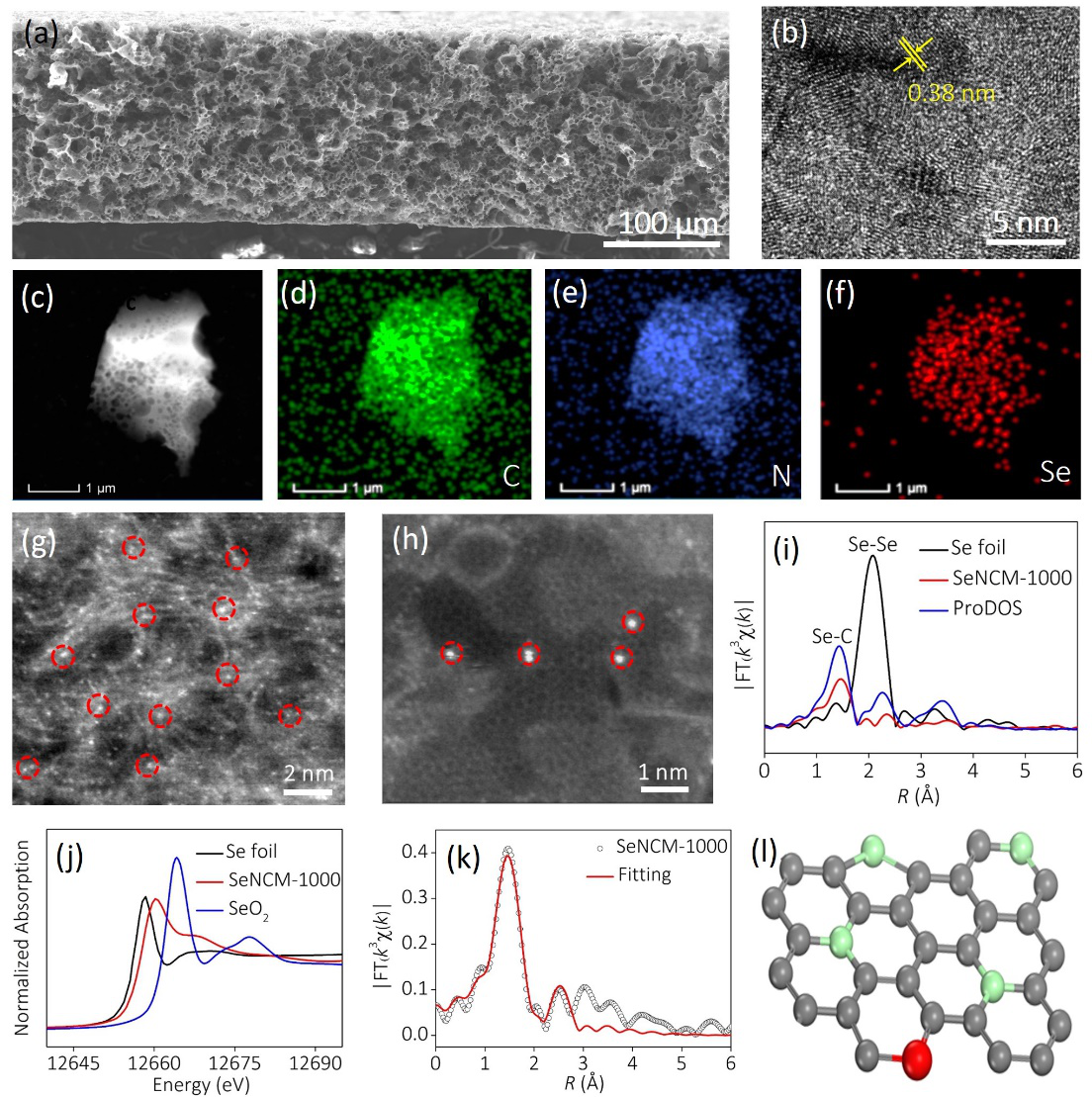 南开大学王鸿研究员课题组Angew. Chem.: 负载半金属硒原子的多孔碳膜-高效稳定的电极材料