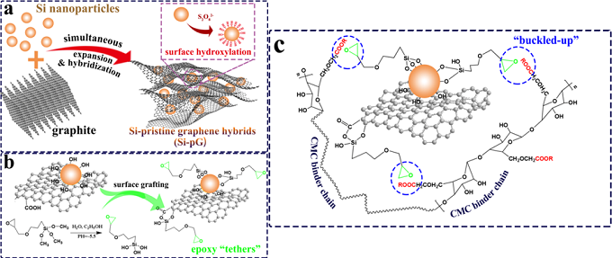 ANGEW CHEM INT EDIT:碳层设计与表面活性系带基团助力Si负极实现全电池稳定循环