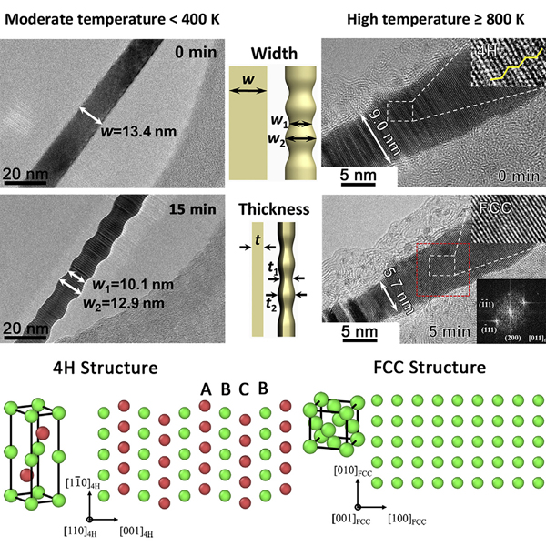 香港城大&麦吉尔大学Matter：超薄4H相金纳米带的热效应和瑞利不稳定性