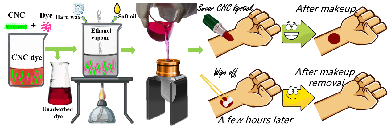 华南理工大学陈克复院士团队Cellulose：可擦拭纳米纤维素口红