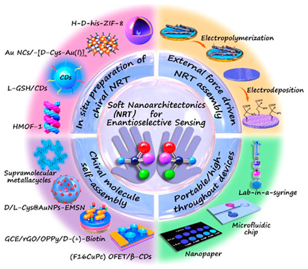 迪肯大学杨文荣团队Acc. Chem. Res.：基于软纳米构建技术为基础的手性生物传感