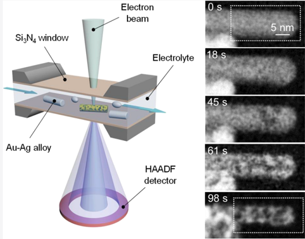 Nano Lett.: 原位液体环境扫描透射电子显微镜揭示AgAu纳米颗粒的脱合金动力学
