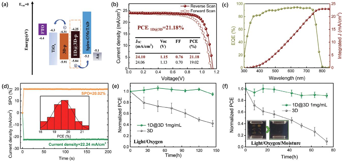 暨南大学范建东&李闻哲Adv. Energy Mater.：高效稳定1D@3D钙钛矿太阳电池(图4)
