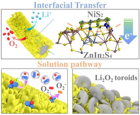 电子科大熊杰ACS Nano：NiS2/ZnIn2S4异质结实现锂-氧电池中类环状Li2O2沉积
