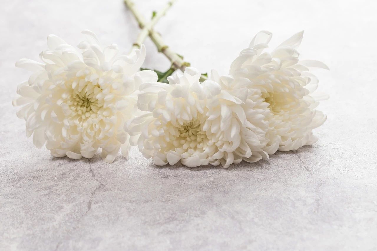 哀悼逝者:华中科技大学周军教授与他的能源材料