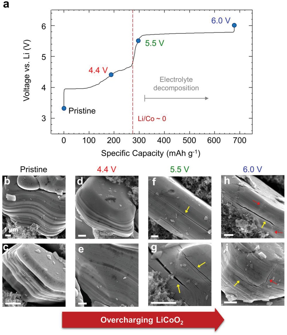 首尔大学Miyoung Kim课题组最新Advanced Science