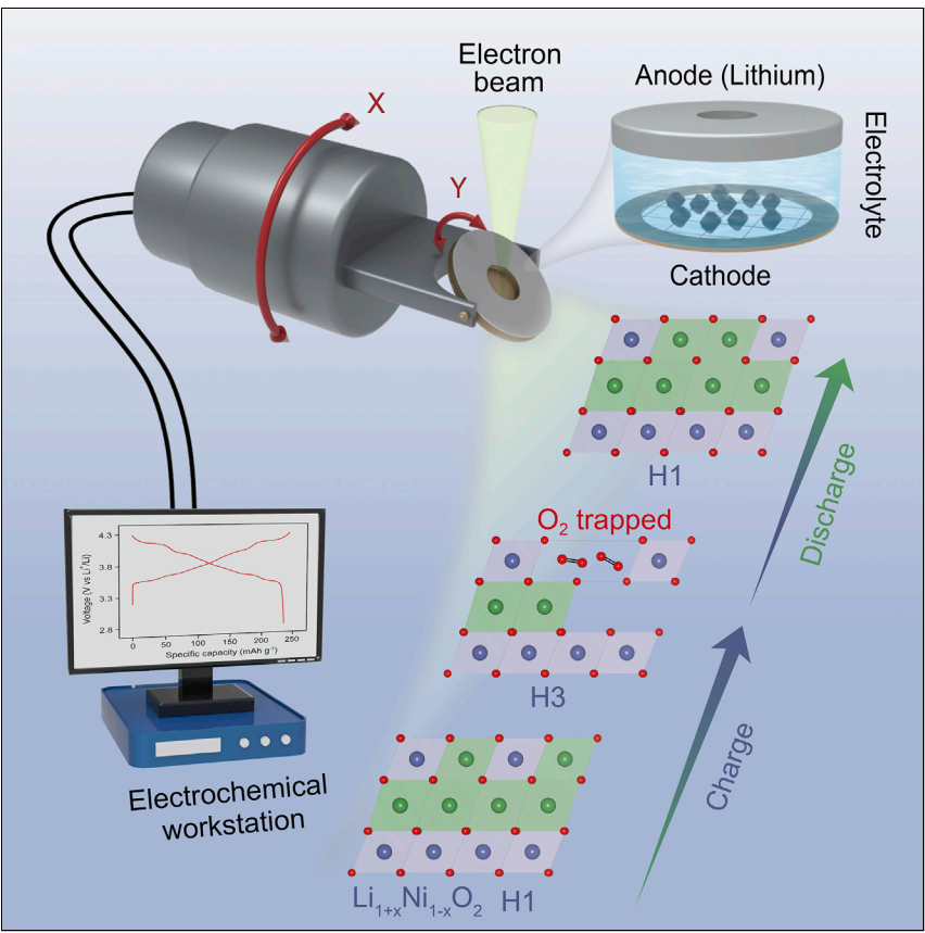 南开大学最新Chem：结合原位电镜，窥视微富锂氧化镍正极中晶格氧的束缚