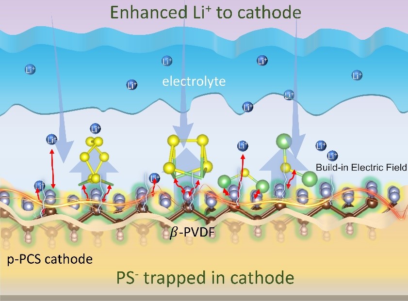电场与电池，指引新思路：铁电工程助力锂硫电池