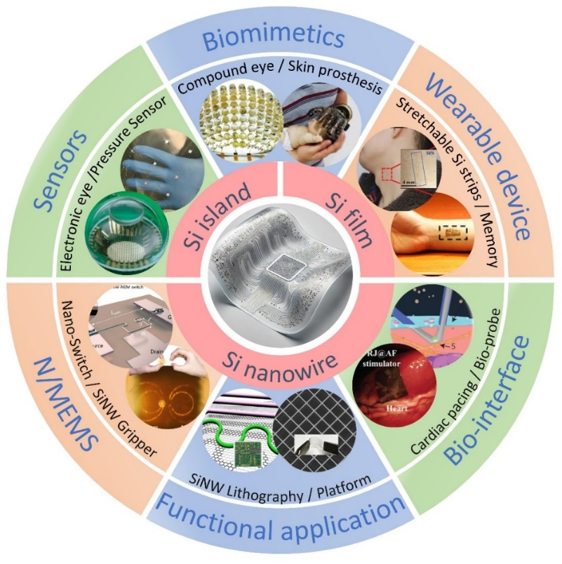 南京大学余林蔚团队/扬州大学刘宗光Nano-Micro Letters：基于形貌工程构建的高性能柔性晶硅器件及其应用(图2)