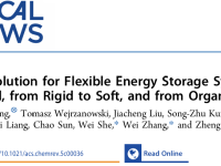 Chemical Reviews:东南佘伟、章炜、孙正明,南航张腾飞柔性储能顶级综述