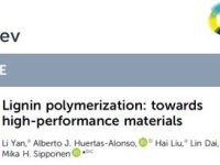 天科大戴林/司传领、斯大Mika H. Sipponen《Chem Soc Rev》正封面文章:面向高性能材料的木质素聚合策略!