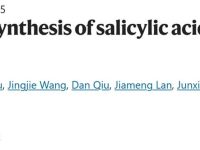 四川大学最新Nature:植物中由苯甲酰辅酶A经三步生物合成水杨酸
