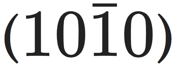 1010