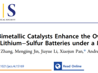 兰大周金元、南京工业大学孙庚志等最新JACS:磁场调控双金属催化界面,实现锂硫全电池高比能与长循环兼得