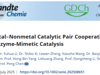 新加坡南洋理工大学陈鹏教授课题组Angew:原子级金属‒非金属催化对协同驱动高效仿酶催化