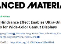 南京理工大学相恒阳&曾海波连续两篇AM:钙钛矿量子点合成动力学调控
