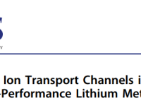 新加坡国立大学/山东大学团队JACS:开发聚合物固态电解质动态离子传输通道以实现高性能锂金属电池