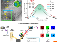郑州大学杨智、宋继中《NC》钠合金调控3D/0D异质结,实现色集成白光闪烁体