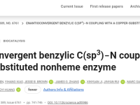 酶催化,浙工大最新Science!